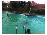 foto kolam berenang